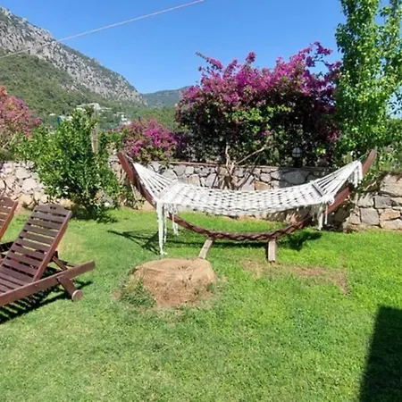 Citrus Park Villas Вилла Фетхие